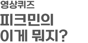 영상 퀴즈 피크민의 이게 뭐지?