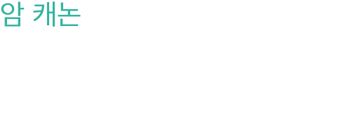 【암 캐논】 오른쪽 팔에 장비된 다목적 캐논. 능력이 다른 4종류의 빔과 미사일을 쏠 수 있다.