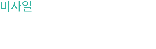 【미사일】 암 캐논 안에 장비된 추적 기능을 가진 미사일. 공격력이 높지만, 탄수에 제한이 있다.