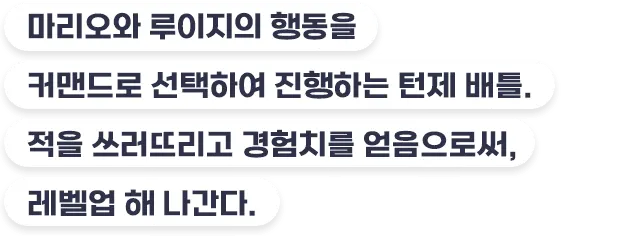 마리오와 루이지의 행동을 커맨드로 선택하여 진행하는 턴제 배틀. 적을 쓰러뜨리고 경험치를 얻음으로써, 레벨업 해 나간다.