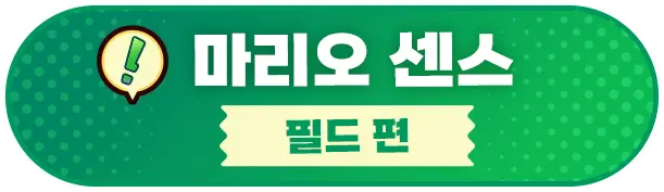 루이지 센스  필드편