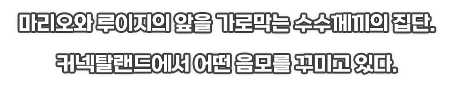 마리오와 루이지의 앞을 가로막는 수수께끼의 집단. 커넥탈랜드에서 어떤 음모를 꾸미고 있다.