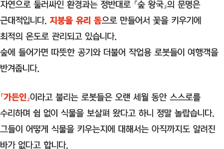 자연으로 둘러싸인 환경과는 정반대로 「숲 왕국」의 문명은 근대적입니다. 지붕을 유리 돔으로 만들어서 꽃을 키우기에 최적의 온도로 관리되고 있습니다. 「가든인」이라고 불리는 로봇들은 오랜 세월 동안 스스로를 수리하며 쉼 없이 식물을 보살펴 왔다고 하니 정말 놀랍습니다. 그들이 어떻게 식물을 키우는지에 대해서는 아직까지도 알려진 바가 없다고 합니다.