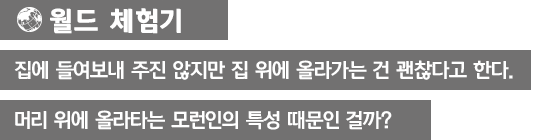 [월드 체험기]집에 들여보내 주진 않지만 집 위에 올라가는 건 괜찮다고 한다. 머리 위에 올라타는 모런인의 특성 때문인 걸까?