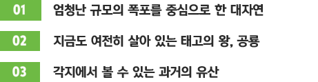 [01]엄청난 규모의 폭포를 중심으로 한 대자연 / [02]지금도 여전히 살아 있는 태고의 왕, 공룡 / [03]각지에서 볼 수 있는 과거의 유산