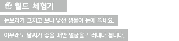 [월드 체험기]눈보라가 그치고 보니 낯선 생물이 눈에 띄네요. 아무래도 날씨가 좋을 때만 얼굴을 드러내나 봅니다.