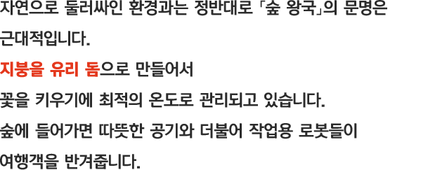 자연으로 둘러싸인 환경과는 정반대로 「숲 왕국」의 문명은 근대적입니다. 지붕을 유리 돔으로 만들어서 꽃을 키우기에 최적의 온도로 관리되고 있습니다. 숲에 들어가면 따뜻한 공기와 더불어 작업용 로봇들이 여행객을 반겨줍니다.