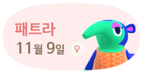 패트라 11월9일