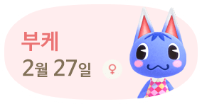 부케 2월27일