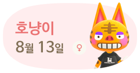 호냥이 8월13일