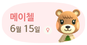 메이첼 6월15일