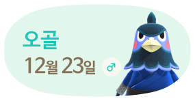 오골 12월23일