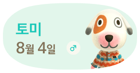 토미 8월4일