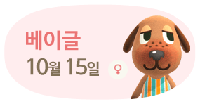 베이글 10월15일