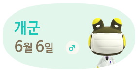 개군 6월6일