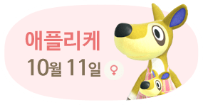 애플리케 10월11일