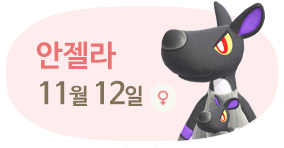 안젤라 11월12일