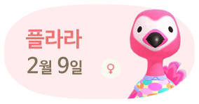 플라라 2월9일