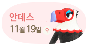 안데스 11월19일