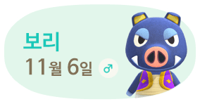 보리 11월6일