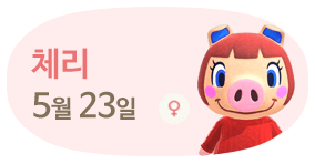 체리 5월23일