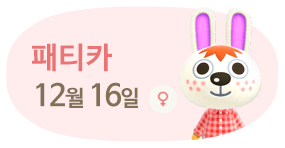 패티카 12월16일