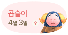 곱슬이 4월3일