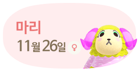 마리 11월26일