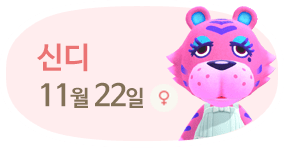 신디 11월22일