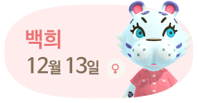 백희 12월13일