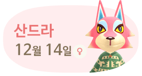 산드라 12월14일