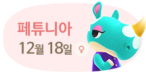 페튜니아 12월18일