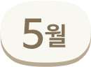 5월