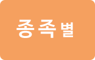 종족별