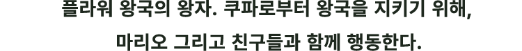 플라워 왕국의 왕자. 쿠파로부터 왕국을 지키기 위해, 마리오 그리고 친구들과 함께 행동한다.