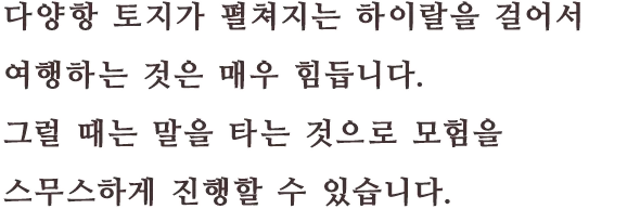 다양한 토지가 펼쳐지는 하이랄을 걸어서 여행하는 것은 매우 힘듭니다. 그럴 때는 말을 타는 것으로 모험을 스무스하게 진행할 수 있습니다.