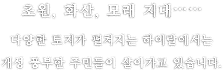 초원, 화산, 모래 지대.....
다양한 토지가 펼쳐지는 하이랄에서는 개성 풍부한 주민들이 살아가고 있습니다.