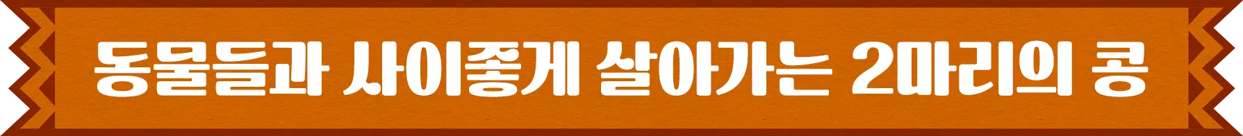 동물들과 사이좋게 살아가는 2마리의 콩