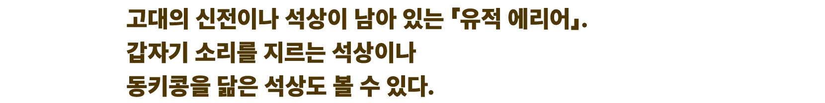 고대의 신전이나 석상이 남아 있는 「유적 에리어」. 갑자기 소리를 지르는 석상이나 동키콩을 닮은 석상도 볼 수 있다.