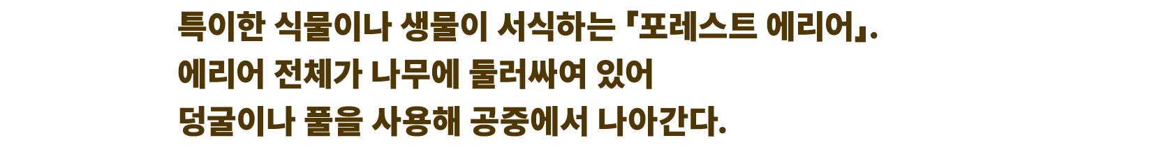 특이한 식물이나 생물이 서식하는 「포레스트 에리어」. 에리어 전체가 나무에 둘러싸여 있어 덩굴이나 풀을 사용해 공중에서 나아간다.